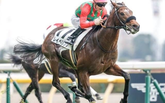 フランケル産駒レイべリングは朝日杯FSへ 近親に海外G1馬多数