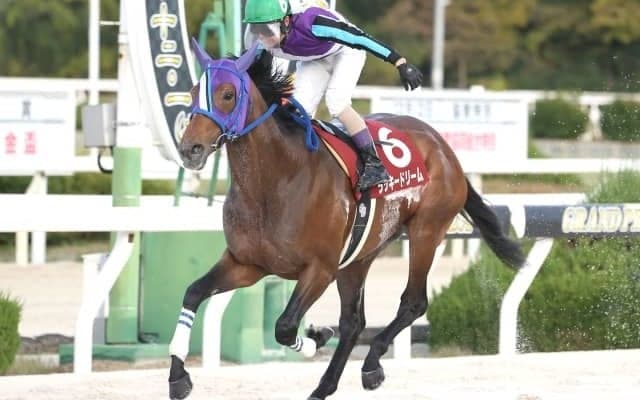 【園田金盃結果】ラッキードリームが6馬身差V、ジンギは2着で3連覇ならず