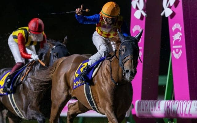 【チャンピオンズC】出走馬の調教後の馬体重