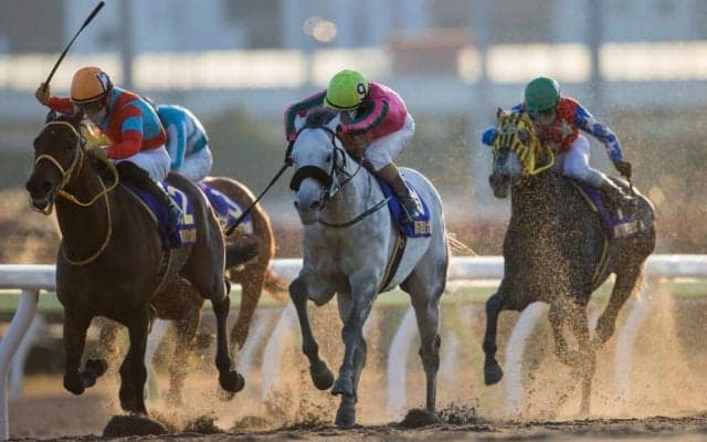 今年最後のG1レース「東京大賞典」はフジ系で放送