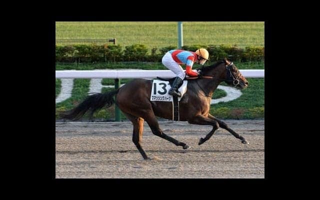 チャンピオンズＣは不動の本命馬がいても馬券的な妙味は十分。穴党記者推奨のヒモ穴２頭で好配当を狙え