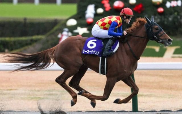 【チャンピオンズC】テーオーケインズは6枠12番