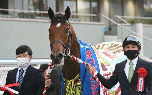 【チャレンジC枠順確定】ソーヴァリアントは6枠10番、ヒンドゥタイムズは7枠12番