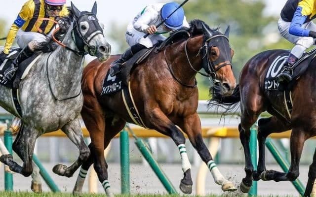 【ステイヤーズS枠順確定】シルヴァーソニックは5枠7番、アイアンバローズは8枠13番