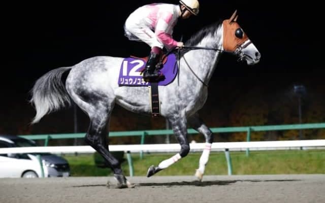 【カペラS想定】リュウノユキナ、ジャスティン、ヒロシゲゴールド、エアアルマスなど17頭