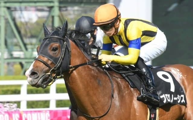 【中日新聞杯想定】プログノーシス、キラーアビリティ、アスクワイルドモア、ハヤヤッコなど19頭