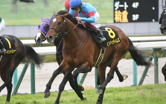 【チャレンジC予想】立ち回りの上手さと心肺能力が求められる別定戦