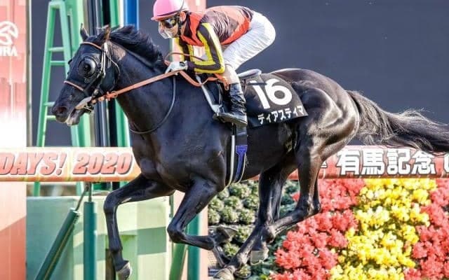 【ステイヤーズS予想】平地重賞の最長距離戦 カギはタフな精神力と機動力