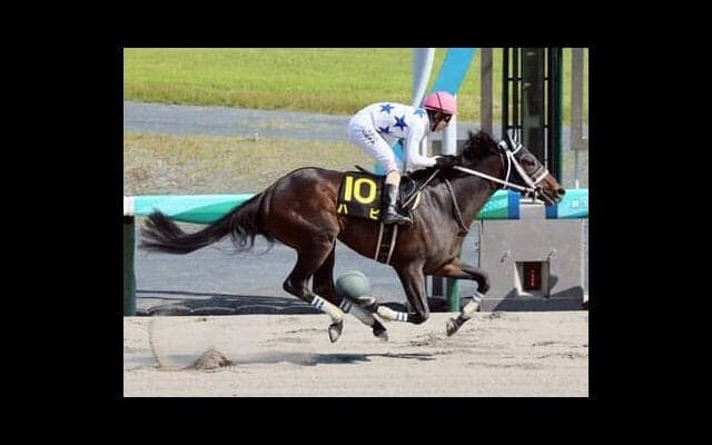 チャンピオンズＣは老獪な騎手が導く伏兵が不気味。本命馬に真っ向勝負を挑む有力馬を尻目に漁夫の利を得るか