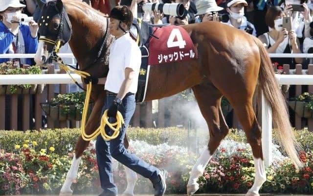 【香港C出走見込馬】12頭中5頭が日本馬 ジャックドール・パンサラッサなど参戦