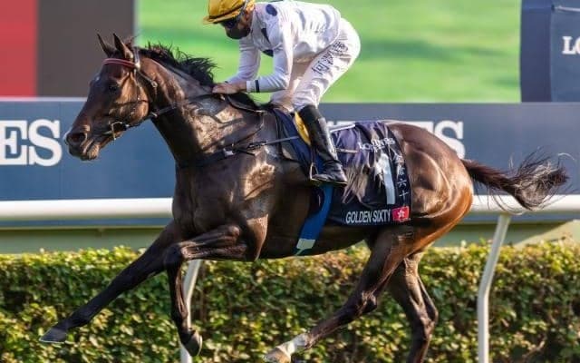 【香港マイル出走見込馬】香港現役最強馬に3頭の日本GI馬が挑む