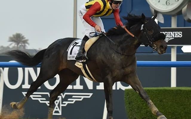 【チャンピオンズC予想】3歳馬は勢いが必要!? テーオーケインズにつけられた決定的な着差