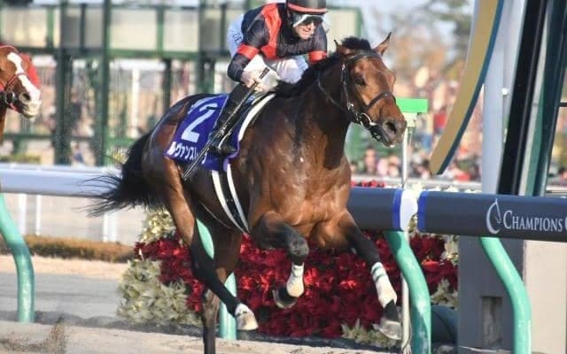 ルヴァンスレーヴの活躍を振り返る 強者揃いの2015年世代で異彩放った怪物/GIプレイバック