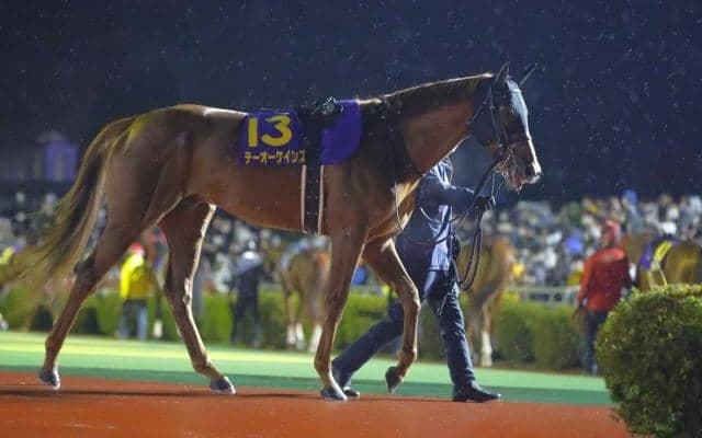 【チャンピオンズC前日オッズ】テーオーケインズが1.8倍で1頭抜けた人気