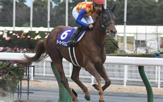 【チャンピオンズC】競馬ファン1万人に聞いた！ テーオーケインズ連覇の可能性は？