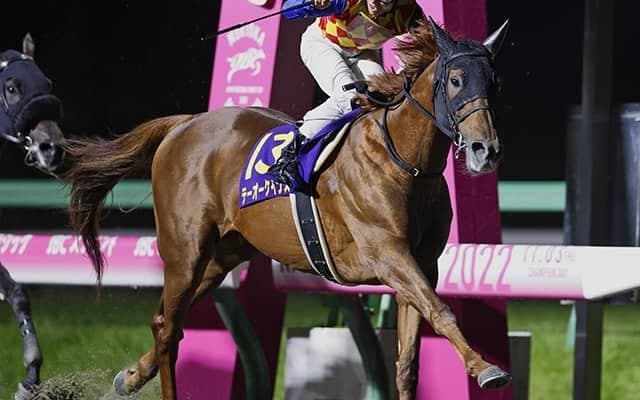 【AI予想・チャンピオンズC】テーオーケインズを負かせる馬は？ 人工知能の出した結論とは