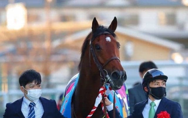 【チャレンジC】ルメール「ペースはとても速かった」ソーヴァリアントが連覇