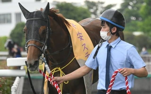 【今日の注目ポイント】中京でダート王決定戦チャンピオンズC