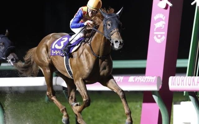 【チャンピオンズC予想】長い直線で急坂が待ち受けているタフなコース設定