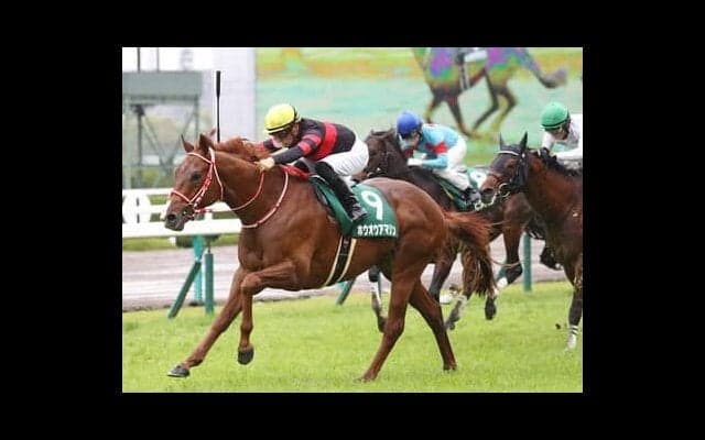 国枝厩舎の秘蔵っ子、アンティーゾ。「走ってきそうな雰囲気はある」とスタッフは好感触