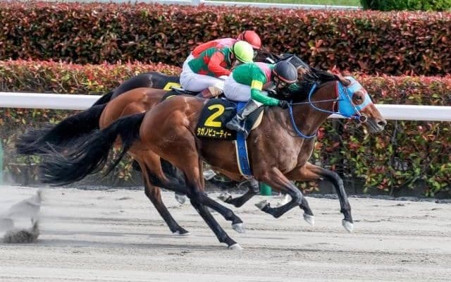 【チャンピオンズC予想】勝利パターンなら馬番2から11番重視？ 前走中央使いの馬は勝利の前例なし？