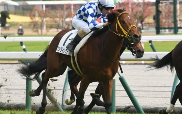 【中京5R新馬戦結果】ワンダイレクトが差し切り勝ち