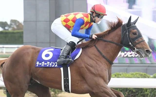 【チャンピオンズC・馬体重】テーオーケインズは494kg(-7)、グロリアムンディは504kg(+8)