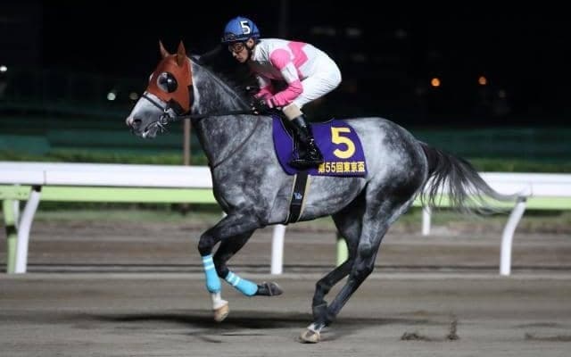 【カペラS】リュウノユキナ、ジャスティンなどが登録