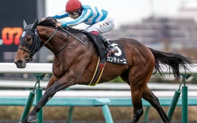 12月4日の競走中止、競走除外、疾病の一覧 カンティーユ1着も鼻出血ほか/中山・阪神・中京