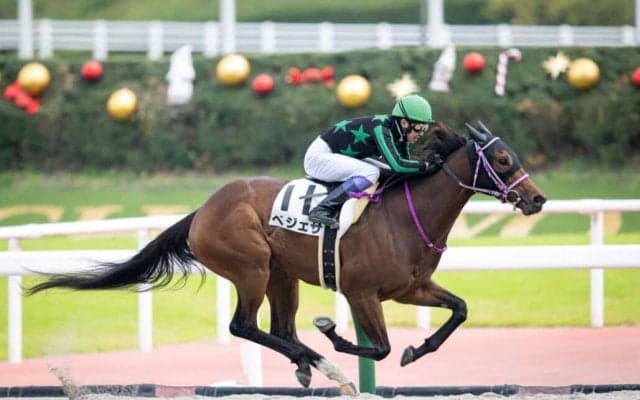 【中京6R】武豊 ベジェサが好位から抜け出す