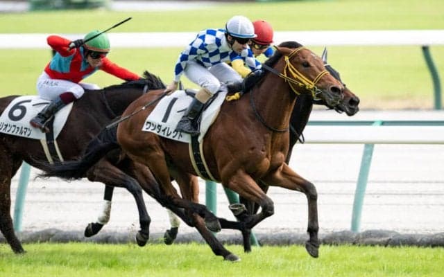 【新馬/中京5R】ハービンジャー産駒 ワンダイレクトがデビューV