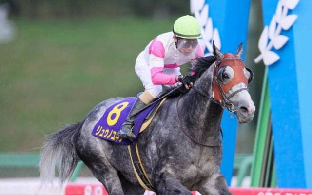 【カペラS登録馬】リュウノユキナなど20頭