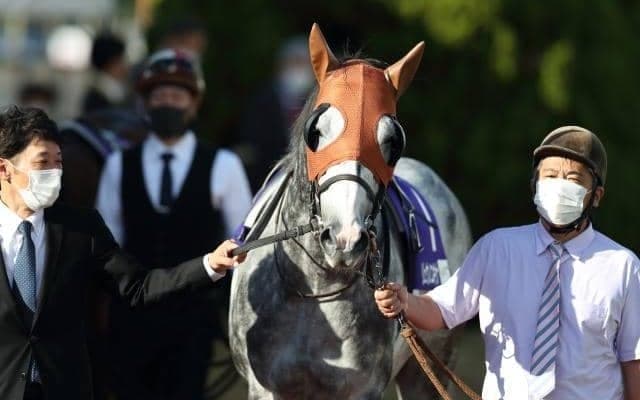 【カペラS見どころ】リュウノユキナの重賞3勝目なるか