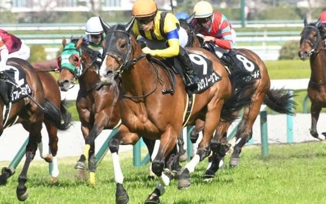 【中日新聞杯見どころ】6戦4勝のプログノーシスが古馬重賞初挑戦
