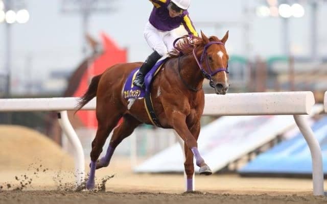 JpnI/GI馬が3頭参戦 カジノフォンテンなど豪華メンバー集う/大井・勝島王冠枠順