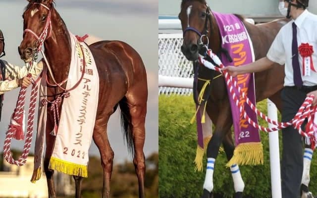 【阪神JF】登録馬のレーティング順位 ラヴェルとリバーラが首位タイ
