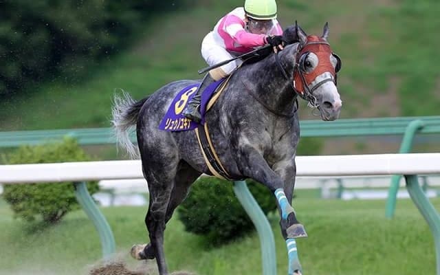 【カペラS想定騎手】リュウノユキナは柴田善臣騎手、オメガレインボーは岩田康誠騎手