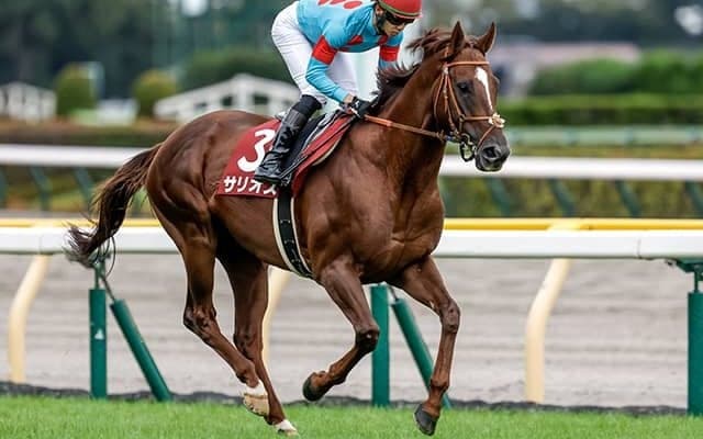 【香港国際競走】グリーンチャンネルなどで熱戦を生中継！