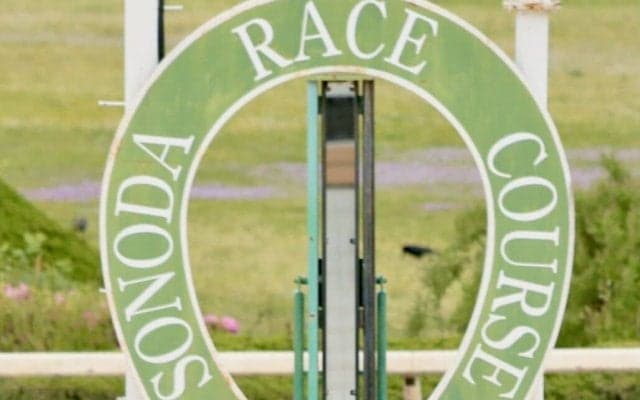 園田競馬 7Rが雷雨により取りやめ