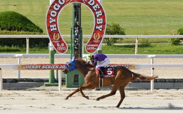 【園田・兵庫ダービー】バウチェイサーが世代の頂点に