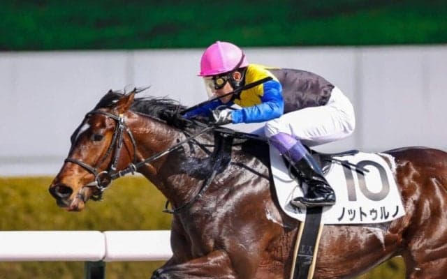 【兵庫CS】JRA出走予定馬