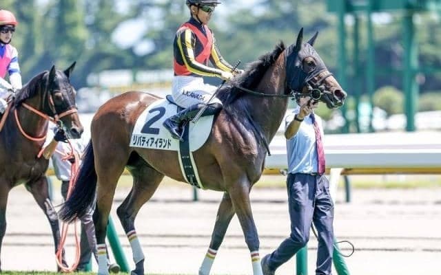 【阪神JF予想オッズ】リバティアイランドが予想1番人気