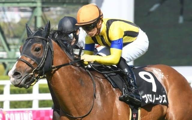 【中日新聞杯予想オッズ】プログノーシスが予想1番人気