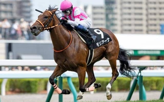 【阪神JF展望】2歳女王を決める戦い、近年の好走傾向とは