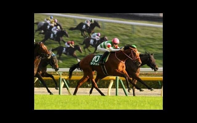 ２歳牝馬を識者たちがランキング。阪神JFの行方が見えてくる