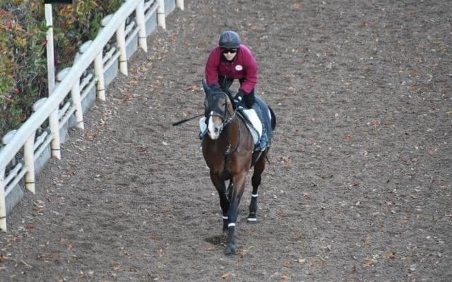 遅れてきた大物候補が重賞初制覇へ キャリア6戦中5戦で上がり最速を記録
