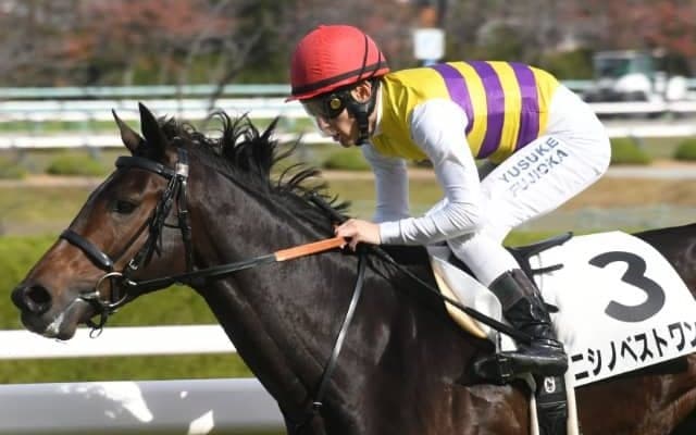 【次走】ニシノベストワンが朝日杯FS参戦 同一族にサクラローレル、タイムパラドックスなど