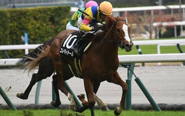 【POG】コレペティトール、放牧挟んで共同通信杯目標に調整