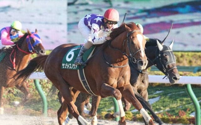 サンライズノヴァが競走馬登録抹消