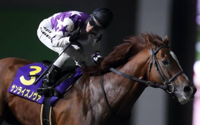 マイルCS南部杯など重賞5勝を挙げたダートの古豪が引退 今後は種牡馬に